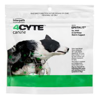 4Cyte-Canine-Joint-Support-Supplement_02092022_004326.jpg