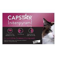 637253626944328072-capstar-cat-purple.jpg