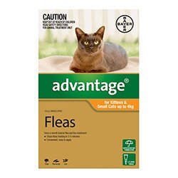 Advantage-Kittens-and-Small-Cats-1-10lbs-for-Cats-Flea-and-Tick-Control.jpg