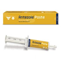 Antezole-Paste-15-ml.jpg