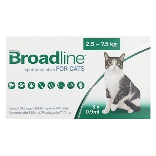 Broadline-spot-solution-large-cats.jpg
