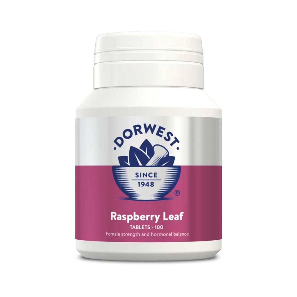 Dorwest-Raspberry-Leaf-Tablets-for-Dogs-and-Cats-100tabs_08102023_212738.jpg
