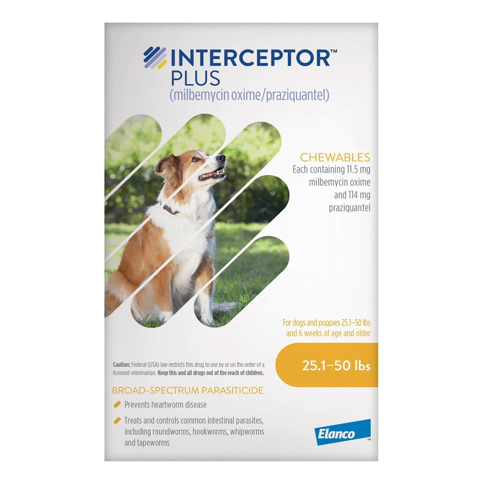 Interceptor-Plus-Chew-for-Dogs-25.1-50-lbs-Yellow_04192023_031230.jpg