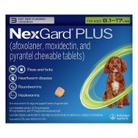 NexGard-PLUS-Chew-for-Dogs-8.1-17-lbs-Green_08242023_034052.jpg