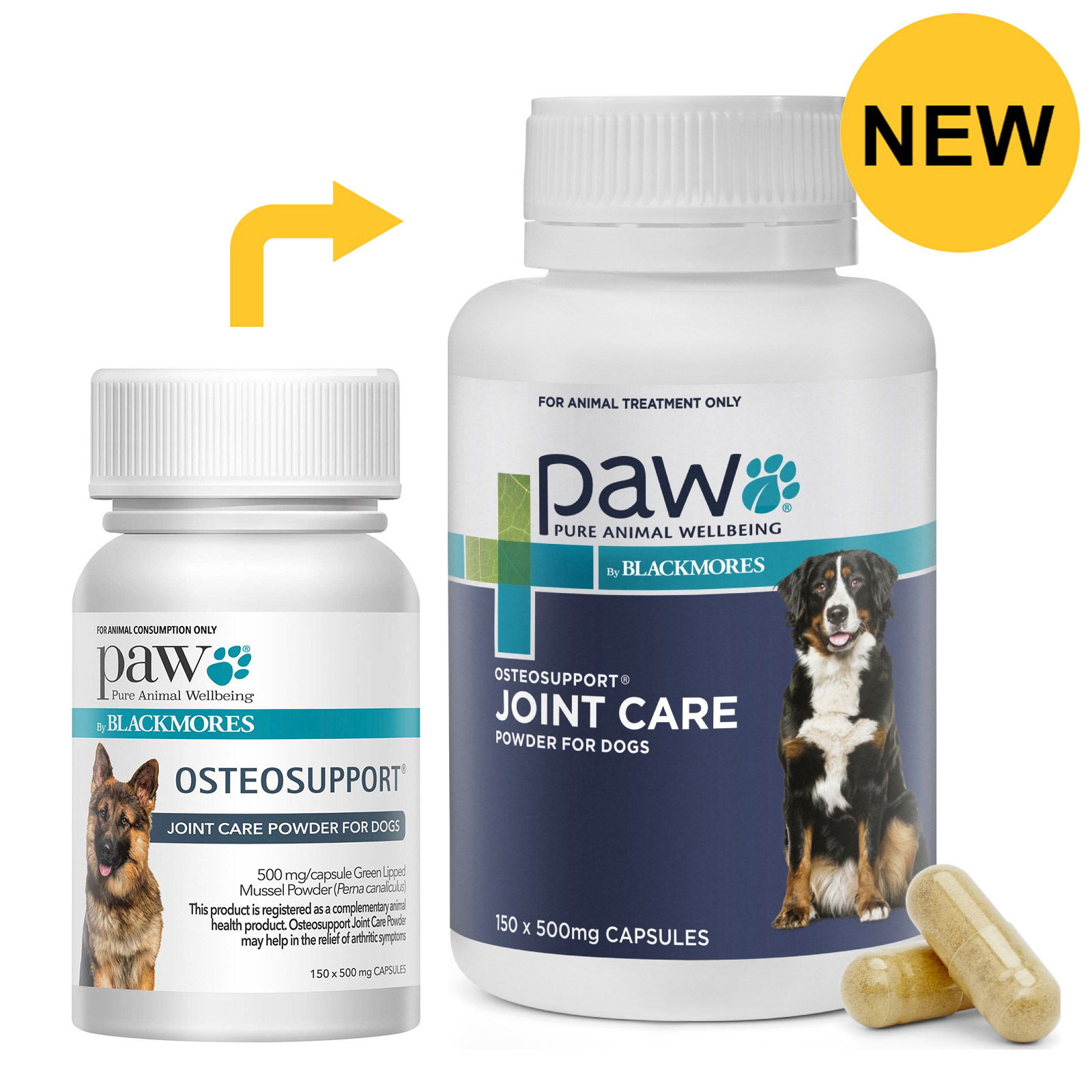 PAW-By-Blackmores-Osteosupport-Joint-Care-Powder-For-Dogs-150-new_05242023_043628.jpg
