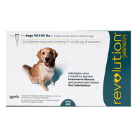 Revolution-for-Large-Dogs-40.1-85lbs-Green-zoeno.jpg