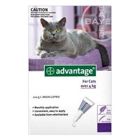 advantage-cats-over-9lbs-purple-1600.jpg