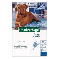 advantage-extra-large-dogs-over-55-lbs-blue-1600.jpg