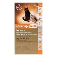advantage-multi-advocate-kittens-and-small-cats-up-to-10lbs-orange.jpg