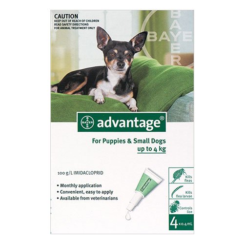 advantage-small-dogs-pups-1-10lbs-green-1600.jpg