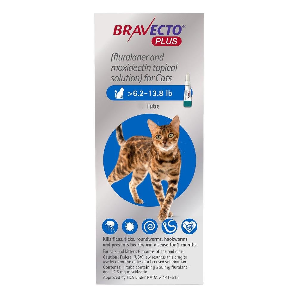 bravecto-plus-for-medium-cats-250-mg-62-to-1375-lbs-blue-1600.jpg