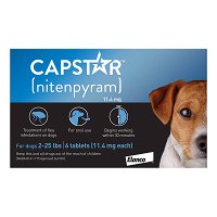 capstar-dog-blue-1600_03282023_223959.jpg