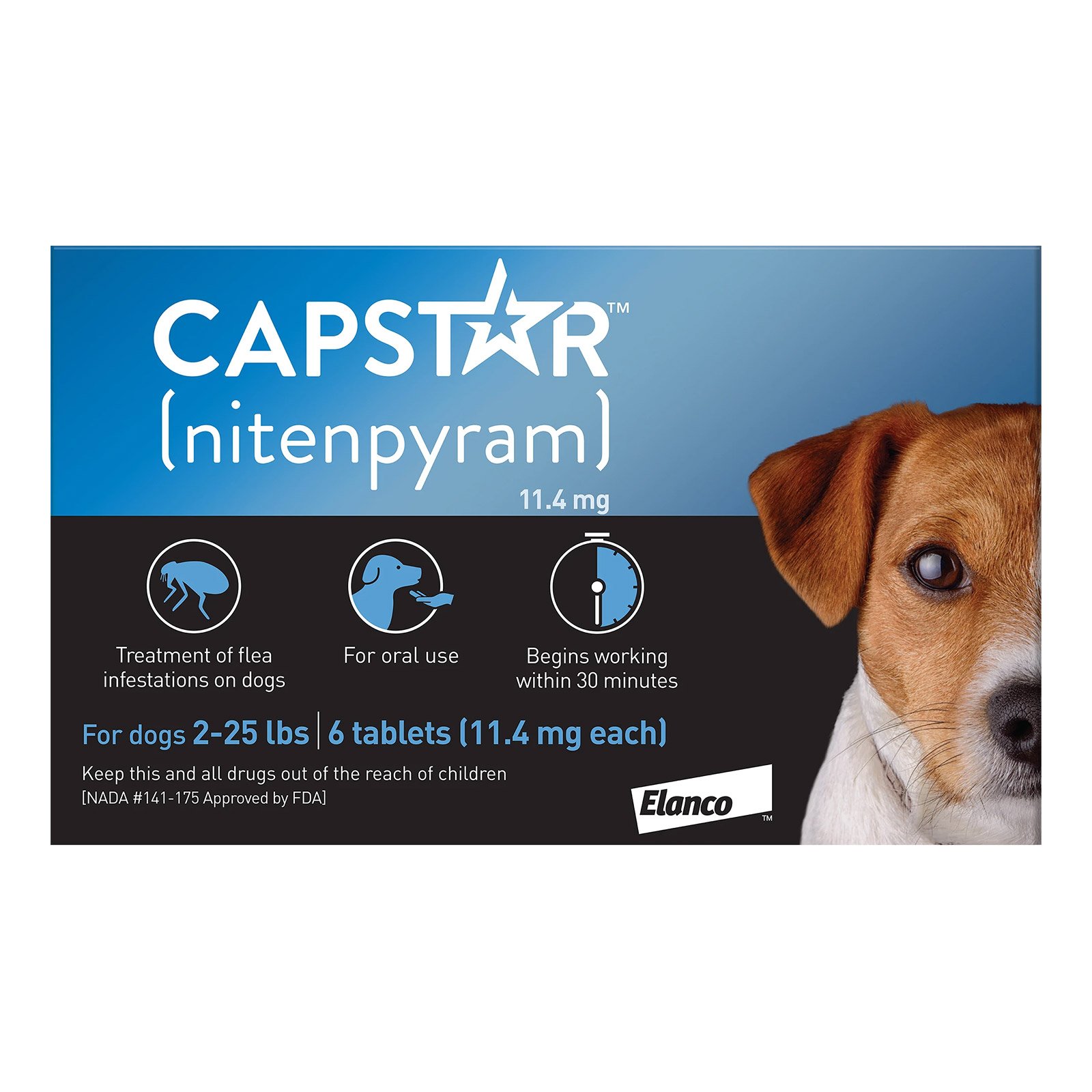 capstar-dog-blue-1600_03282023_224016.jpg
