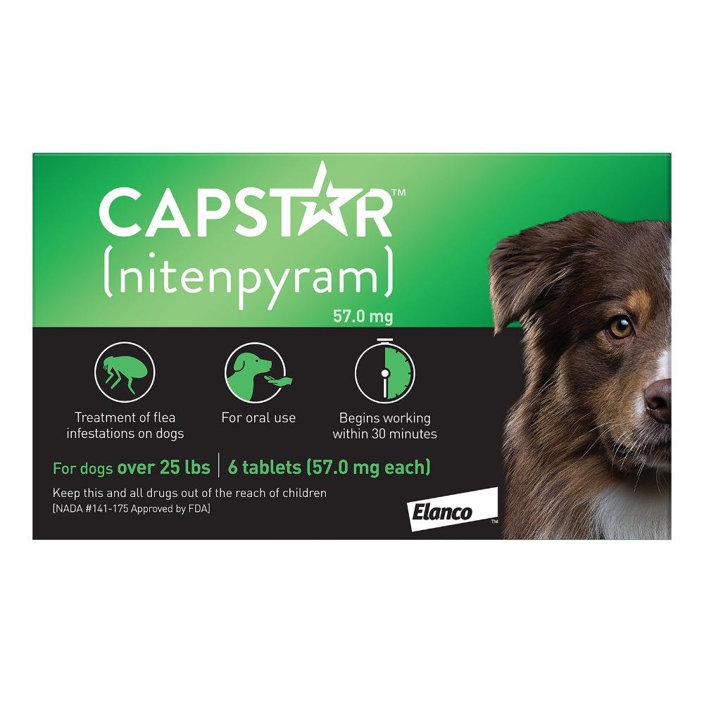 capstar-green-for-dogs-251-125-lbs-1600.jpg
