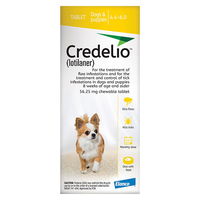 credelio-for-Dogs-04-to-06-lbs-56-mg-Yellow_01182024_202809_01242025_223152.jpg