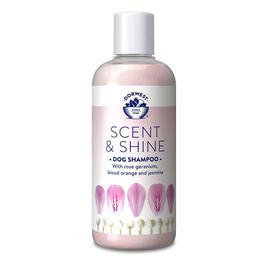 dorwest-scent-and-shine-shampoo--1600.jpg