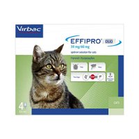 effipro-duo-spot-on-for-cats-1600.jpg