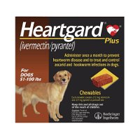 heartgard-plus-chewables-for-large-dog-51-100lbs-brown-1600.jpg