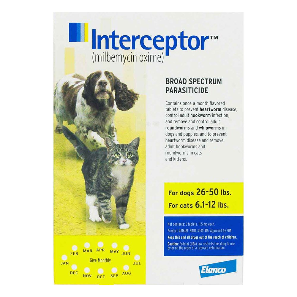 interceptor-for-dogs-26-50-lbs-yellow.jpg