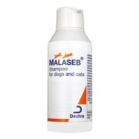 malaseb-shampoo-for-cats-1600.jpg