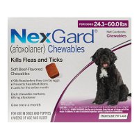 nexgard-chewables-for-large-dogs-241-60-lbs-purple-68mg-1600.jpg
