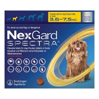 nexgard-spectra-tab-small-dog-77-165-lbs-yellow-1600.jpg