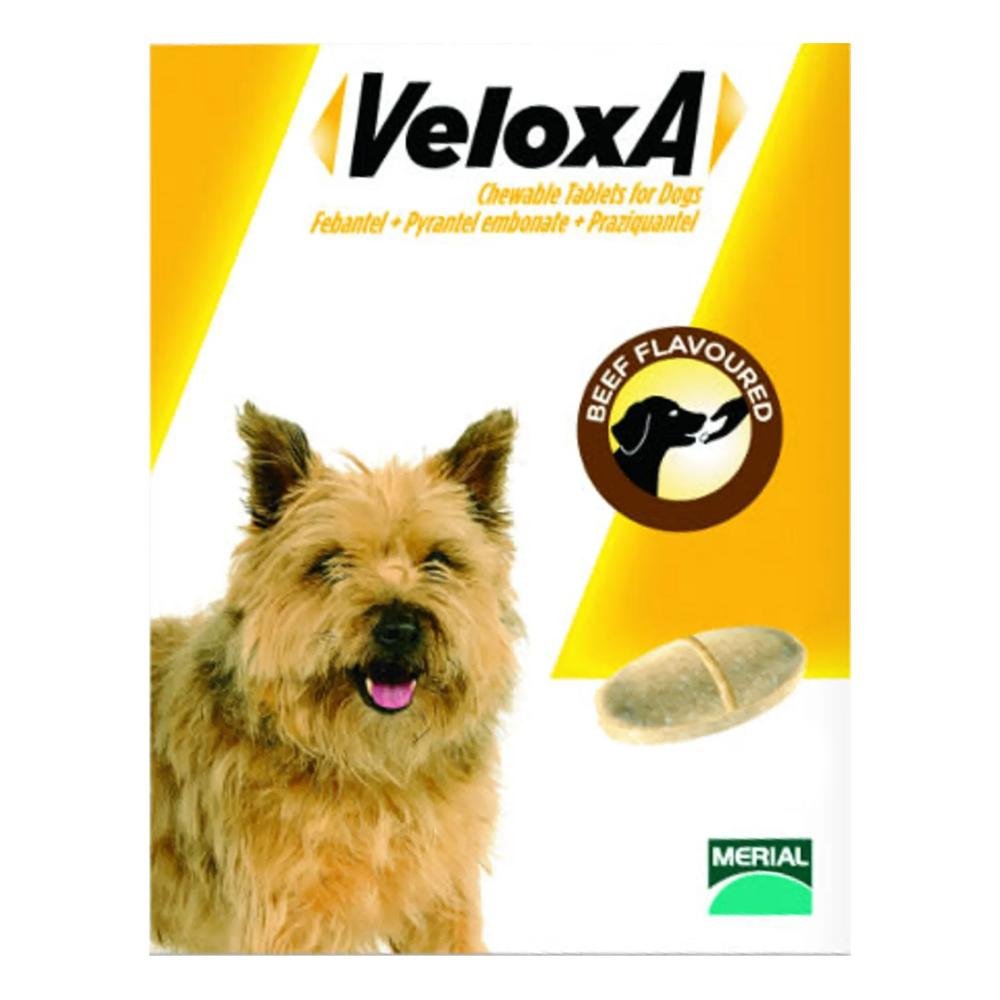 veloxa-chewable-tablets-for-smallmedium-dogs-up-to-10-kg-1600.jpg