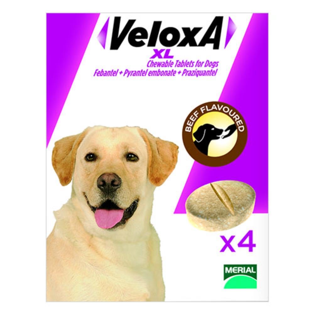 veloxa-xl-chewable-tablets-for-large-dogs-up-to-35-kg-1600.jpg