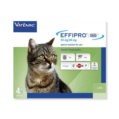 effipro-spoton-cat