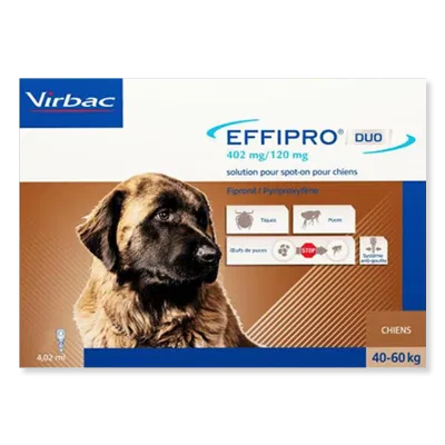 effipro-spoton-dog