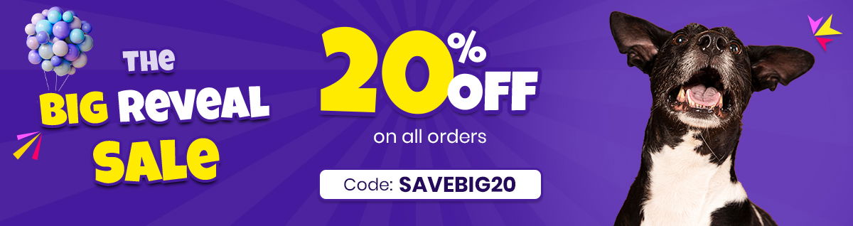 Get 20%  Use Coupon:  SAVEBIG20