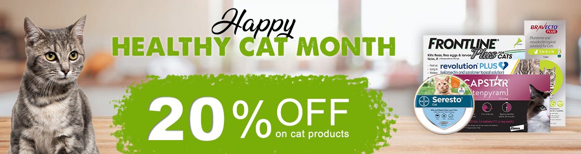 Cat Month Sale