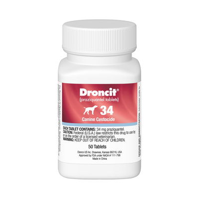 Droncit